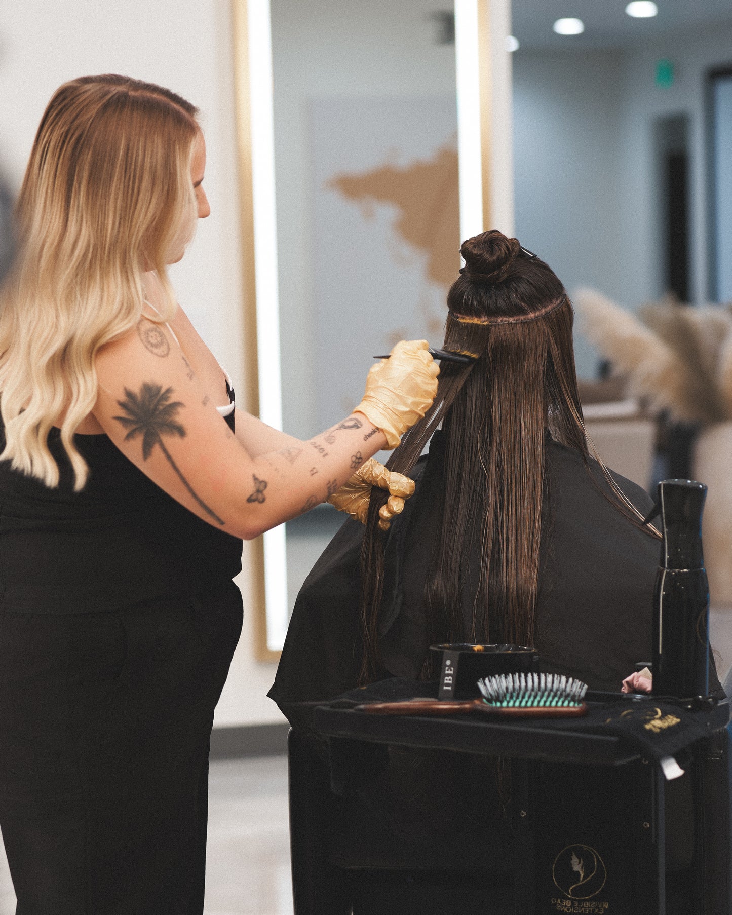 Masters Color February 2026 (Live)