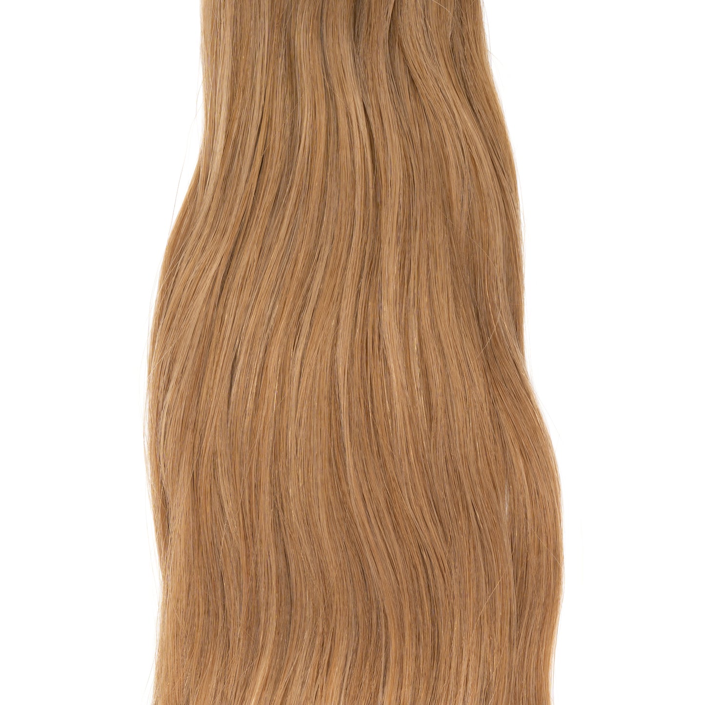Cashmere - Asian Natural Wave Microweft