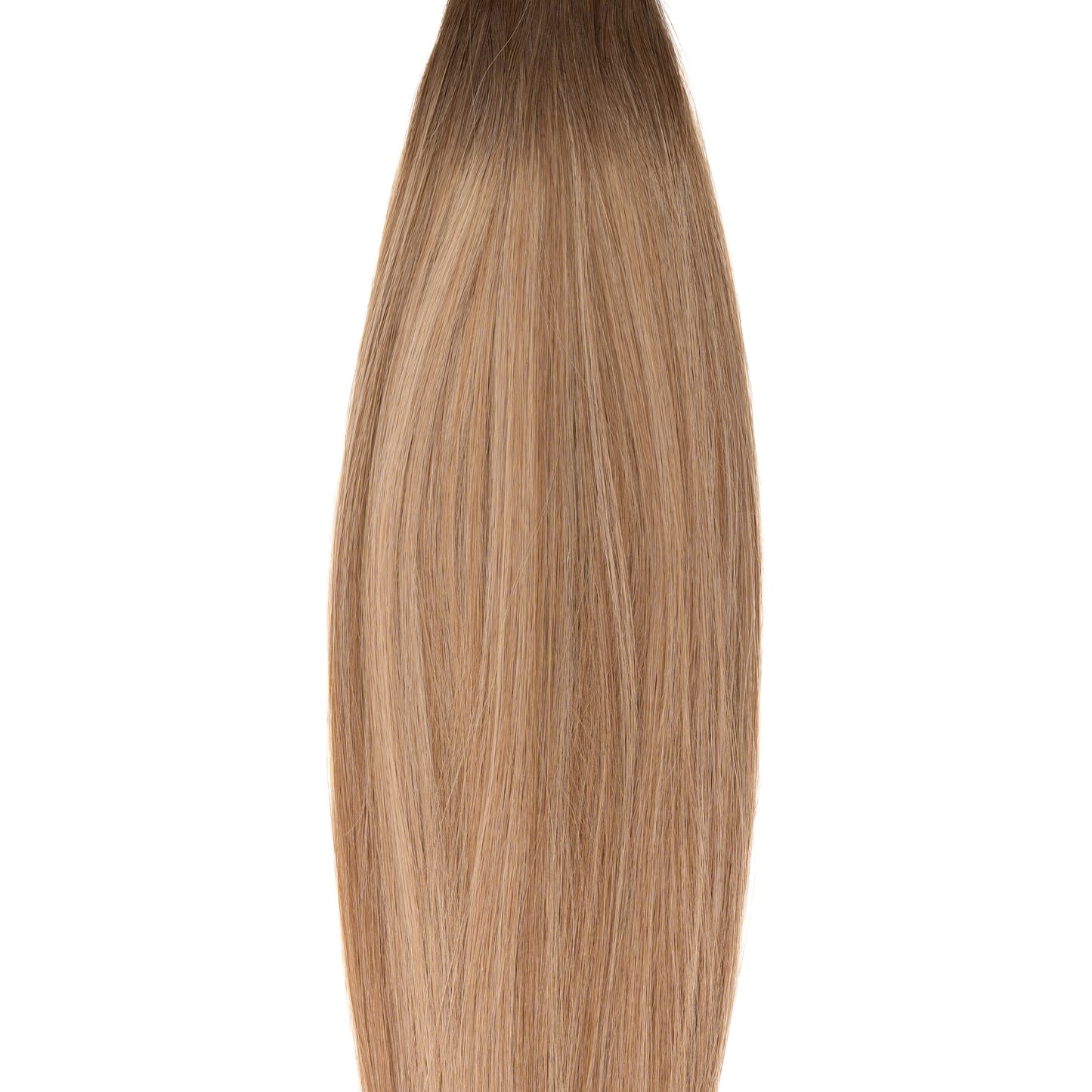 Rooted Champagne (aka Misaki) - Euro Straight Microweft